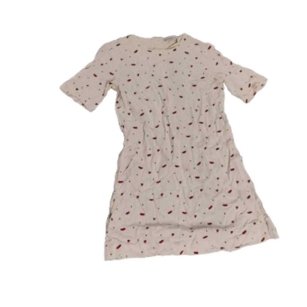 & Other Stories Women's Lipstick Embroidered Patterned Short Sleeve Mini Dress